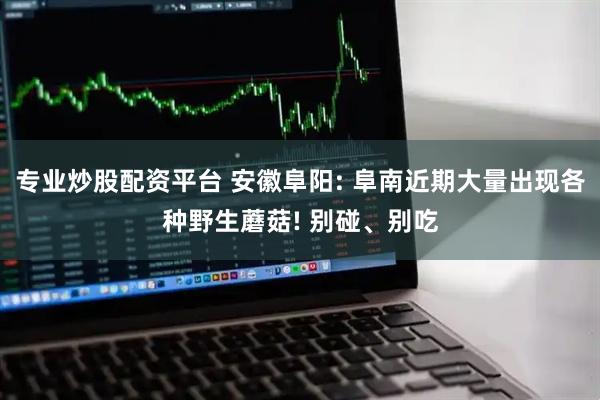 专业炒股配资平台 安徽阜阳: 阜南近期大量出现各种野生蘑菇! 别碰、别吃