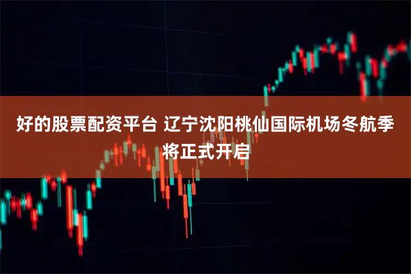 好的股票配资平台 辽宁沈阳桃仙国际机场冬航季将正式开启