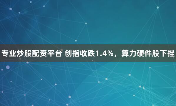 专业炒股配资平台 创指收跌1.4%，算力硬件股下挫